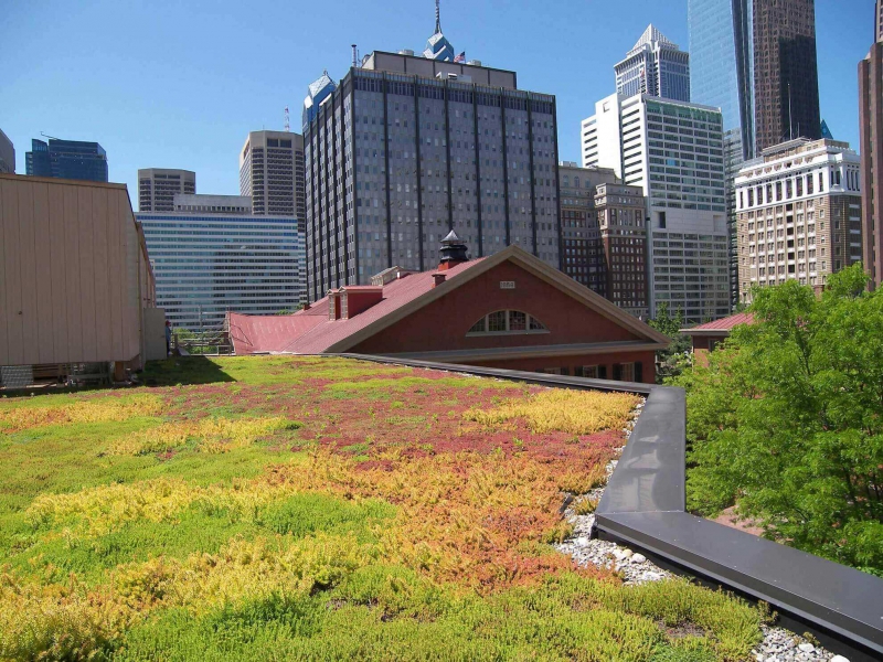 paysagiste-GASSIN-min_green-roof-portfolio-4